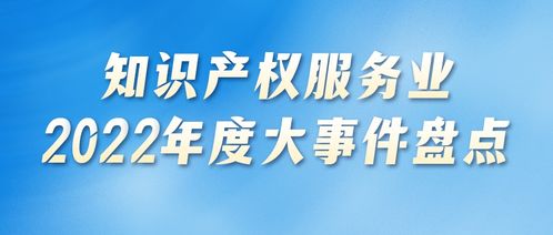 2022年度知識產權服務業(yè)發(fā)展促進篇 政策引領與業(yè)態(tài)革新并舉