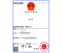 ISO體系產品庫 構建知識產權服務新生態(tài)