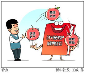 解讀強化知識產權保護意見的三大核心看點——聚焦知識產權服務升級