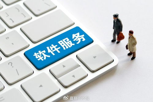 軟件開發(fā)板塊震蕩走強，上海IT運維外包迎發(fā)展新機遇